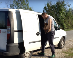 Rescuers Find Puppy Discarded On The Side Of The Road, But Then Something Else Emerges