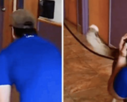 Dog Whines With Joy Seeing Owner After 3 Years