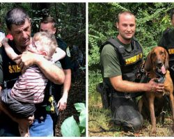 After Special Needs Boy Goes Missing In Woods, K9 Bloodhounds Track Him Down In 28 Minutes