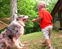 Mom & Dad Panic As Dog Pounces On Baby In The Yard, Then They See Baby’s Foot