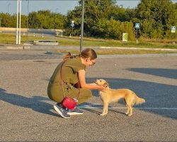 Begging Dog Who Lived Her Entire Life At Gas Station Falls in Love With Her Rescuer