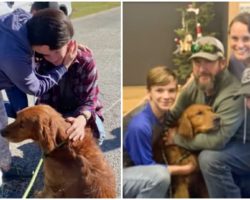 Family Gets Early ‘Christmas Miracle’ After Frantic 24-Hour Search For Lost Dog