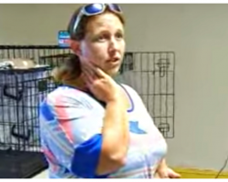 Woman With Heart Of Gold Saves 27 Animals From Deadly Hurricane Then Gets Arrested