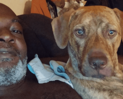 Homeless Man Chooses His Dog Over Housing and Much-Needed Surgery
