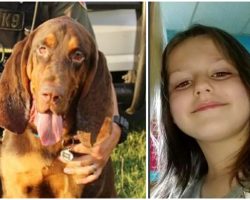 K9 Bloodhound Finds Abducted 6-Year-Old Girl By Tracking Scent