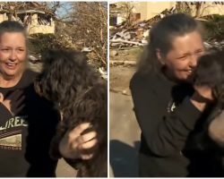 Kentucky Tornado Survivor Finds Hope After Finding Out Her Pet Dog Is Still Alive