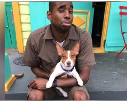 UPS Driver Takes Dog Selfies On His Route And His Social Media Account Blows Up