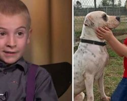 7-Year-Old Boy Wins ASPCA Award For Rescuing More Than 1,300 Dogs From High-Kill Shelters