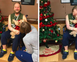 Nurse Goes Above and Beyond To Rescue Hospitalized Patients Dog From The Shelter
