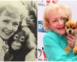 Betty White announces release of her animal talk show in honor of 99th birthday