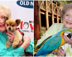 Animal groups pay tribute to the late Betty White, honoring her legacy as champion for animals