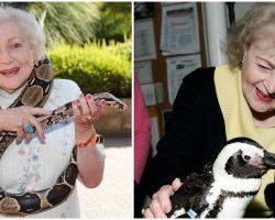 Betty White Anonymously Donated To Evacuate Animals From New Orleans Aquarium After Hurricane Katrina