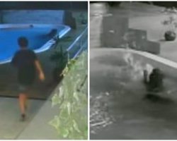 Heroic 11-Year-Old Boy Jumps Into Pool To Save His Dog’s Life