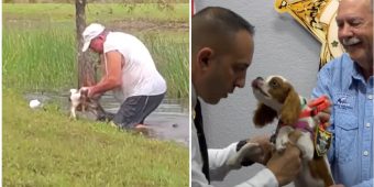 Florida Man Saves Dog From Alligator