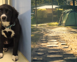 Oklahoma Family Waits Outside Shelter for 27 Hours to Adopt Dog With a Heart on Her Chest