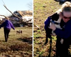 Camera Shows Woman Finding Her Dog Alive After Tornado Destroyed Neighborhood