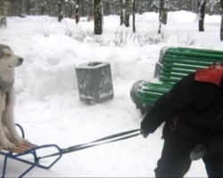 14 Wintry Moments Between Kids And Dogs That’ll Make Your Day