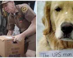 UPS Driver Hears Loud Thump & Sees A Loose Dog With A Note Tied Around His Neck