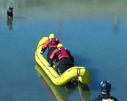 Firemen Reach Out To Pit Bull Stranded On Thin Ice But The Ice Starts Cracking