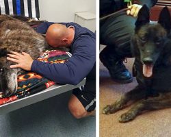 Officer Says Goodbye To Former K9 Partner And Loving Pet, Axel