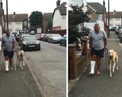 Silly Dog Fakes Limping Around After Dad Breaks His Ankle
