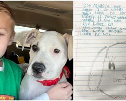 Little boy leaves sweet note for his foster dog’s new family: ‘the best dog you could ask for’