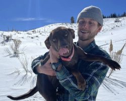 Colorado Couple Reunites With Dog That Went Missing In The Mountains During Ski Trip