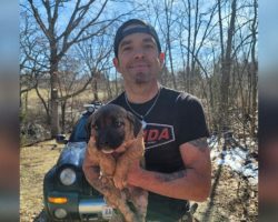 Heroic Veteran Scales 100-Foot Cliff To Save Puppy Trapped In Ravine