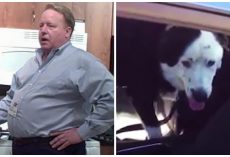 Man’s told he has 5 years to live, so he goes to a shelter and asks for an ‘obese, middle-aged dog’