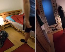 Dad Records When He Leaves, Sees Dog Hit The Lights And Tuck Into Bed
