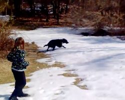 Family Takes Dog Outside In The Snow, And They’re In Stitches Watching Him Go