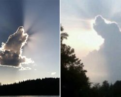 All Dogs Really Do Go To Heaven & These Dog-Shaped Clouds Are Proof