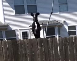 Walkers Feel As If They’re Being Watched, Look Toward The Sound Of A Trampoline