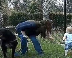 Dog Acted Funny Around The Babysitter Tipping Family Off To Abuse