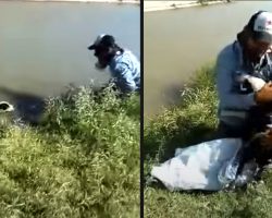 Man Pulls Drowning Dog From The Canal, Receives A Hug For His Heroic Effort
