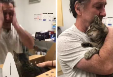 Man has tearful reunion with his long-lost cat after 7 years apart