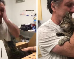 Man has tearful reunion with his long-lost cat after 7 years apart