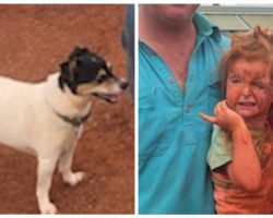 Missing 3-year-old found safe with her loyal dog by her side