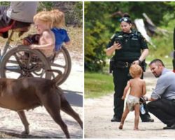 Missing 3-year-old with autism found safe with loyal dogs who protected him