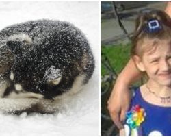 Missing 10-year-old girl survives night in blizzard by cuddling up with ‘fluffy’ stray dog