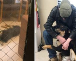 Homeless 17-year-old reunites with dog after having to surrender her to shelter