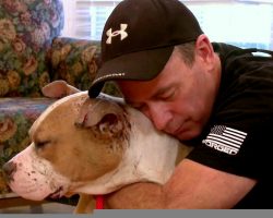 Deputy Comes Back To Town To Meet The Blind Rescue Pit Bull He Had Befriended