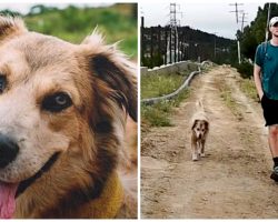 Man Adopts Dog & Walks 18,000 Miles Over 5 Years’ Time Around The World With Her