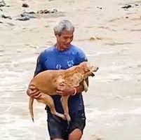 Brave Old Man Risks His Own Life To Save His Beloved Dog