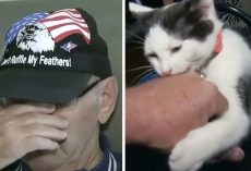 Elderly Man Breaks Down Talking About His Cat Saving His Life