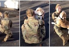 Dog Recognize His Military Mom After He Gets A Whiff Of Her Scent