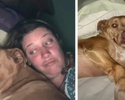 Woman Wakes Up With A Strange Dog Next To Her In Bed