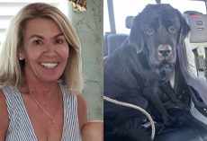 Texas Woman With Dementia That Went Missing Was Rescued Through The Bark of Her Dog