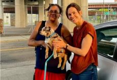 Actress Hilary Swank Reunites Woman With Her Lost Dog