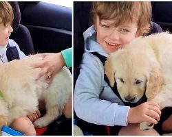 Boy With Autism Shows Emotion For The First Time After Given a Puppy